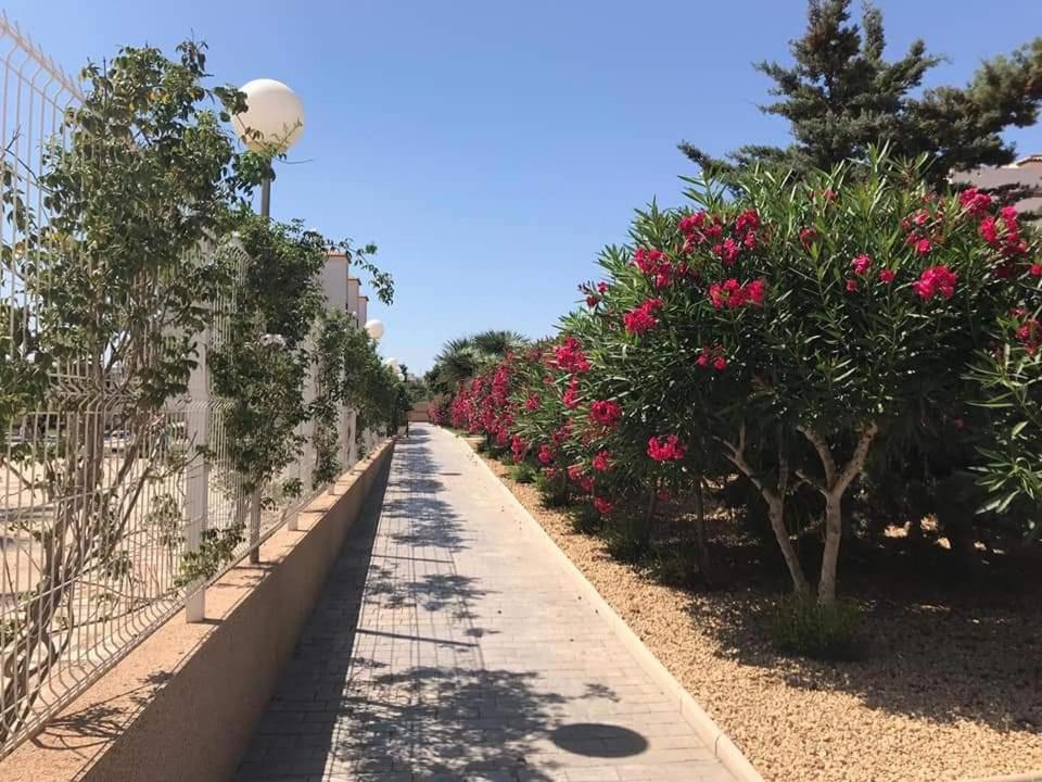 Casa Punta Prima Lägenhet Orihuela Exteriör bild